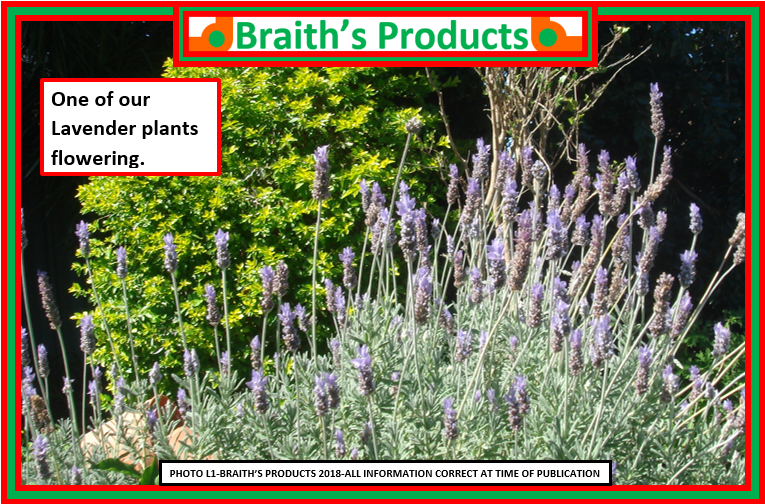 Braiths Products |  | Hill St, North Lambton NSW 2299, Australia | 0249522352 OR +61 2 4952 2352