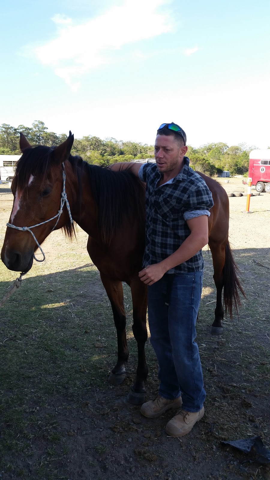 Bluemax Kennels | 755 Mount Cotton Rd, Sheldon QLD 4156, Australia | Phone: (07) 3206 4236