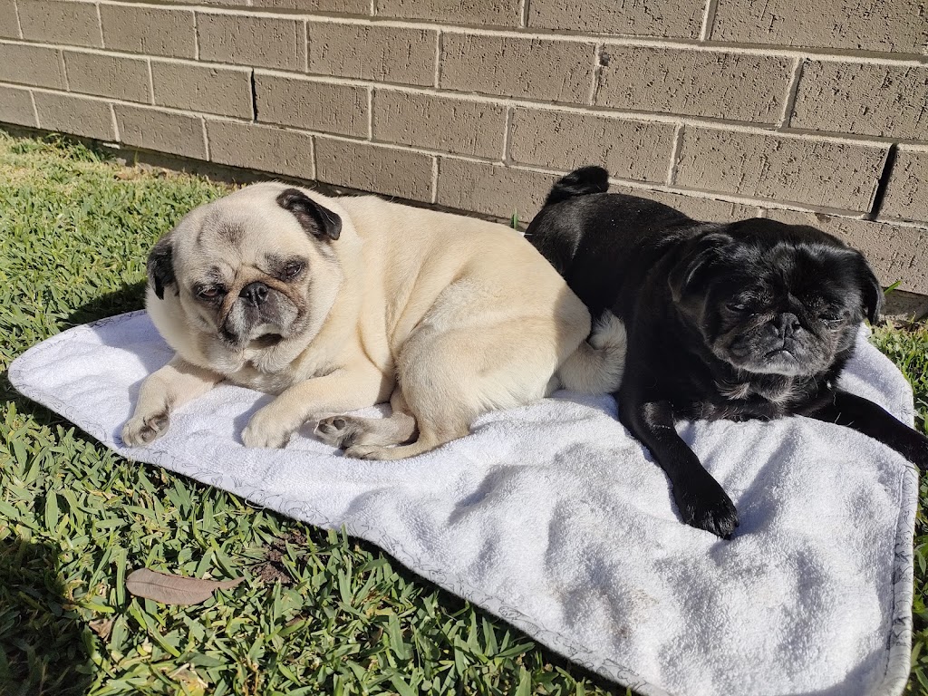 Pamper Palace | 3A Kingfisher Ln, Woodberry NSW 2322, Australia | Phone: 0435 832 293