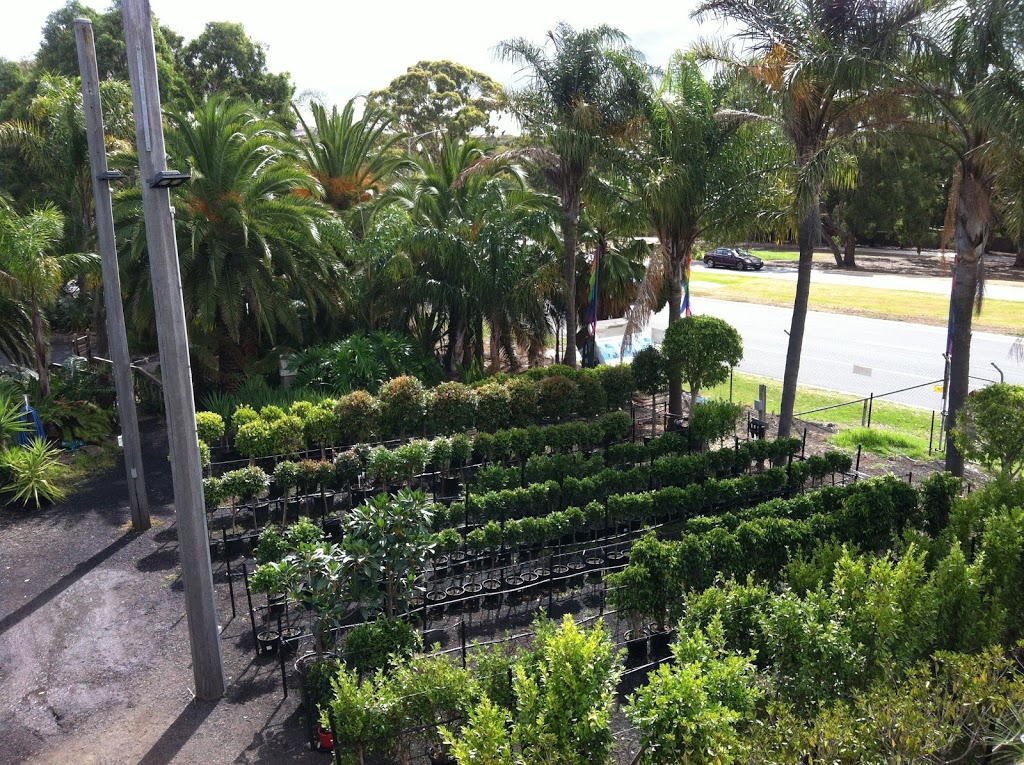 Palm Place Nursery | store | 685 Mickleham Rd, Greenvale VIC 3059, Australia | 0393333736 OR +61 3 9333 3736