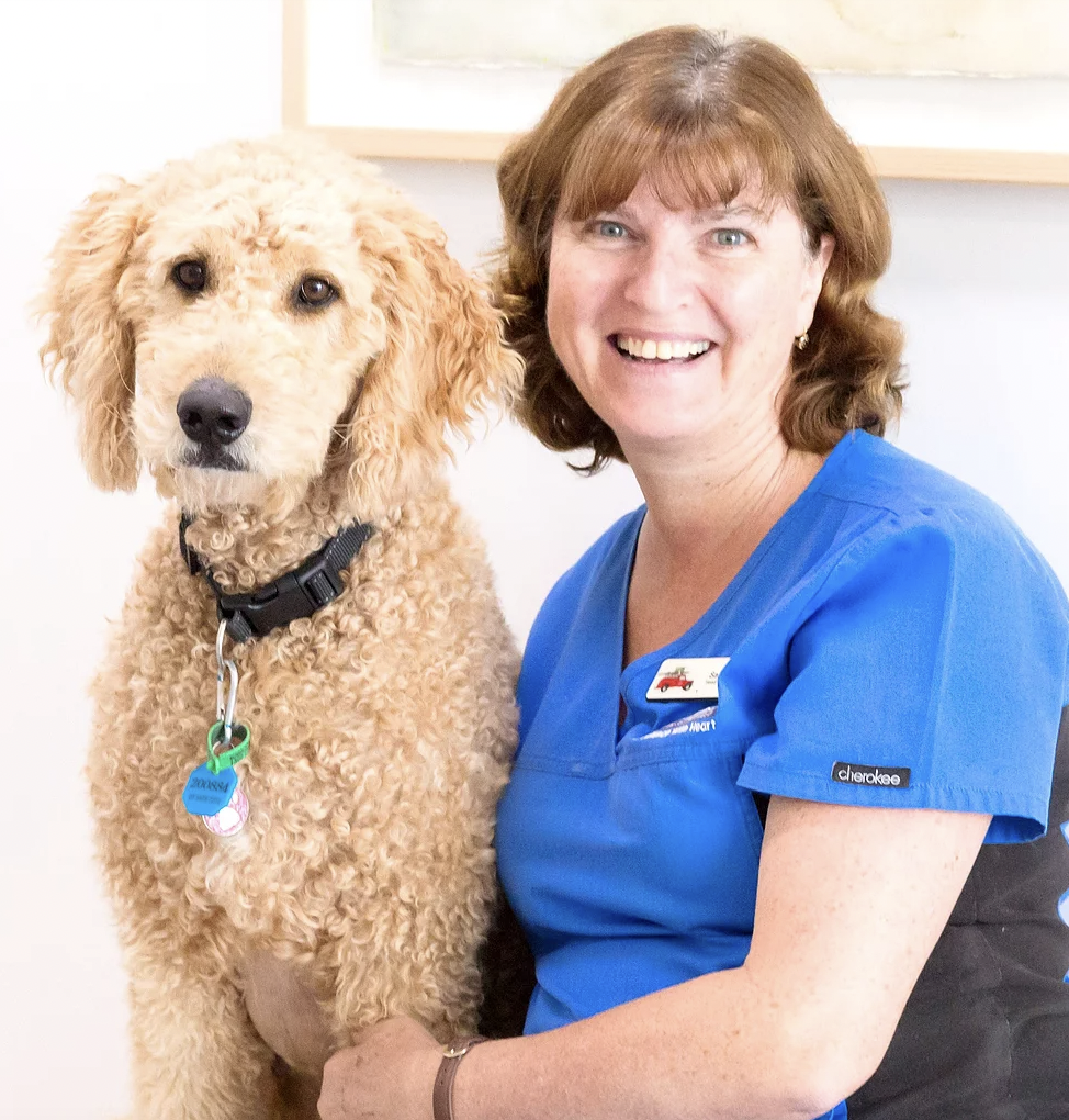 Greater Springfield Veterinary - Edens Crossing Hospital | 2/7005 Mount Juillerat Dr, Redbank Plains QLD 4301, Australia | Phone: (07) 3492 9222