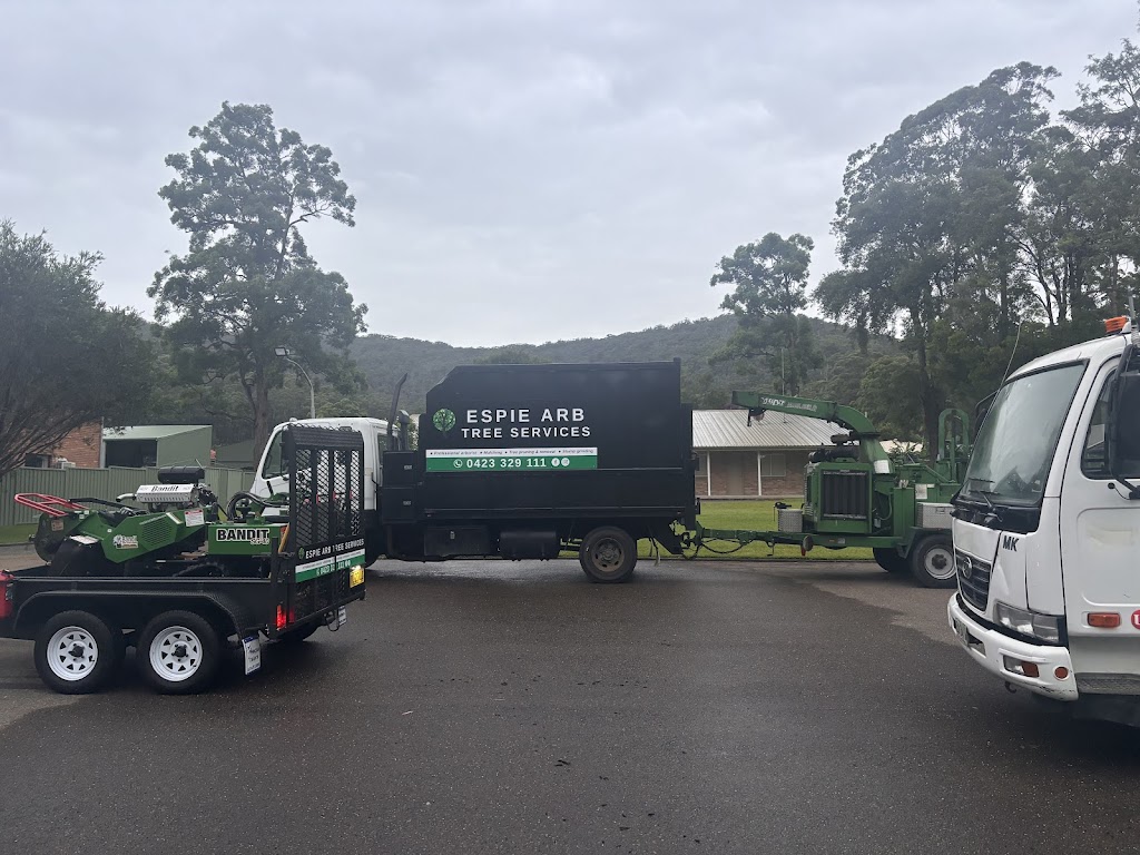 Espie Arb Tree Services | 286 Ocean Dr, Lakewood NSW 2443, Australia | Phone: 0423 329 111