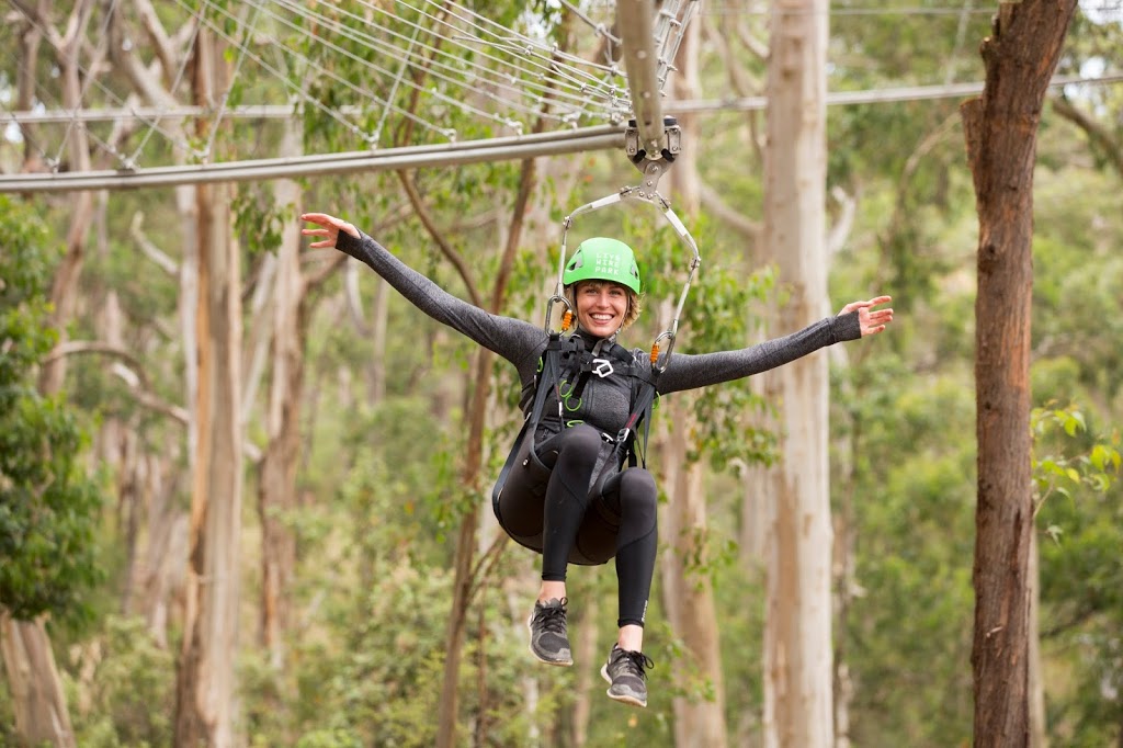 Live Wire Park | amusement park | 180 Erskine Falls Rd, Lorne VIC 3232, Australia | 1300548394 OR +61 1300 548 394