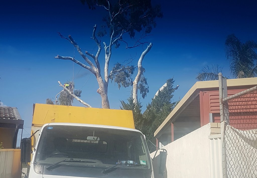 TJA Tree Services |  | 16 Krawarri St, Lonsdale SA 5160, Australia | 0408920284 OR +61 408 920 284