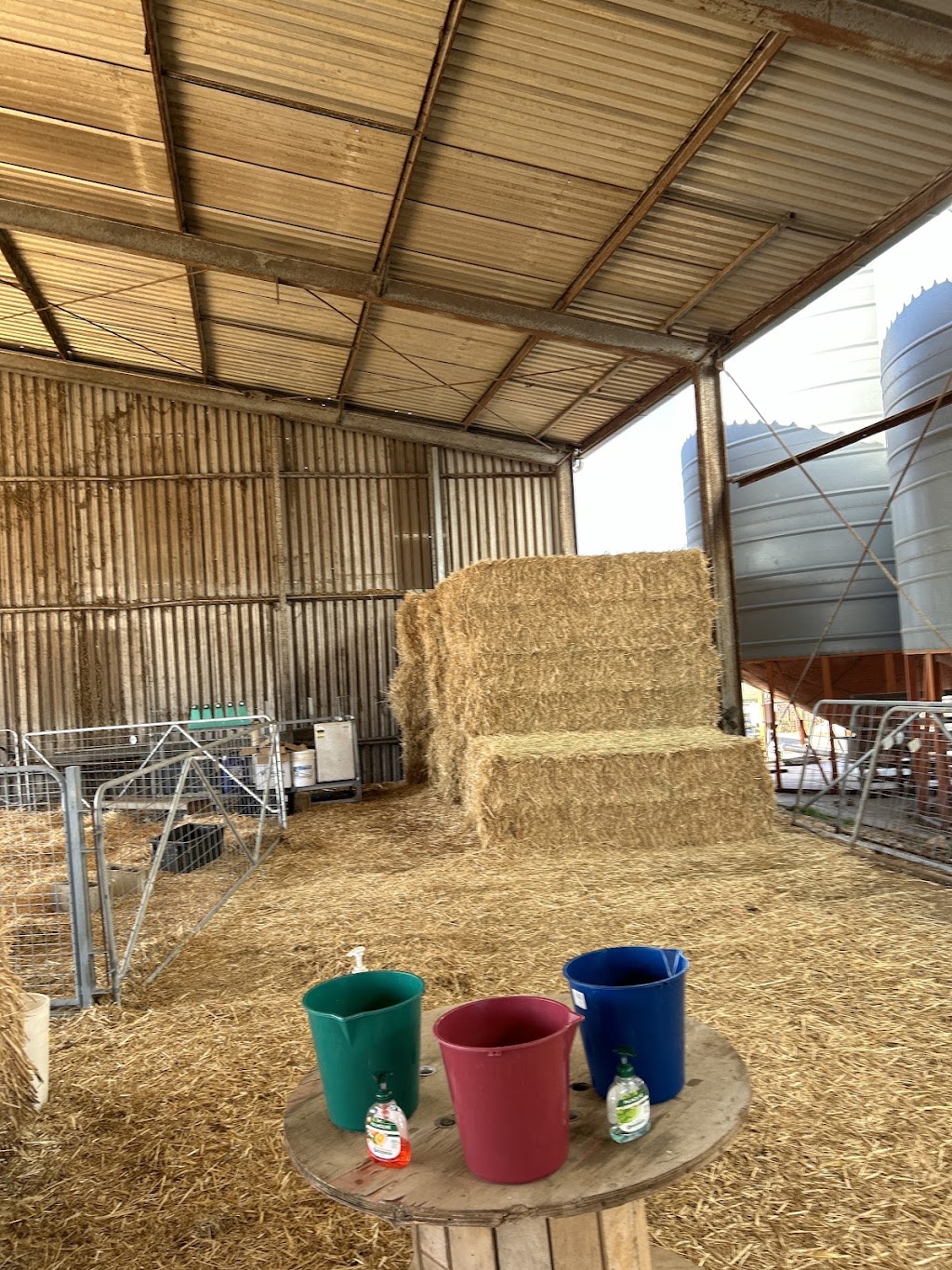 Dairy Adventures | 395 Belvedere Rd, Mannum SA 5238, Australia | Phone: 0499 007 672