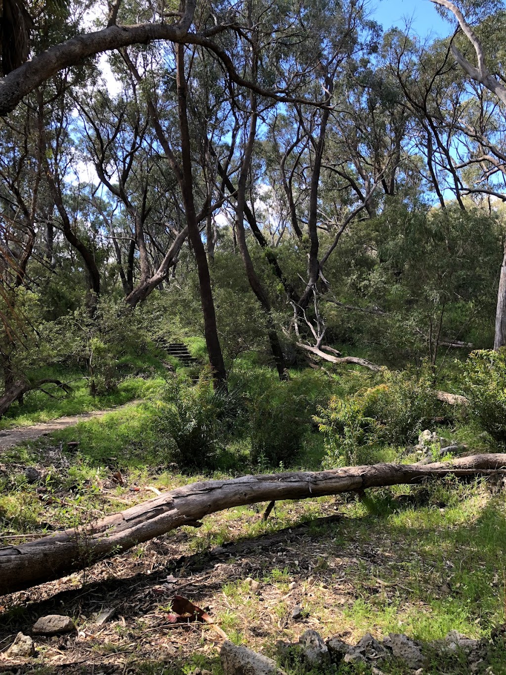 Boomerang Gorge - Dwerta Mia Walk Trail | tourist attraction | Yanchep WA 6035, Australia | 0893037759 OR +61 8 9303 7759