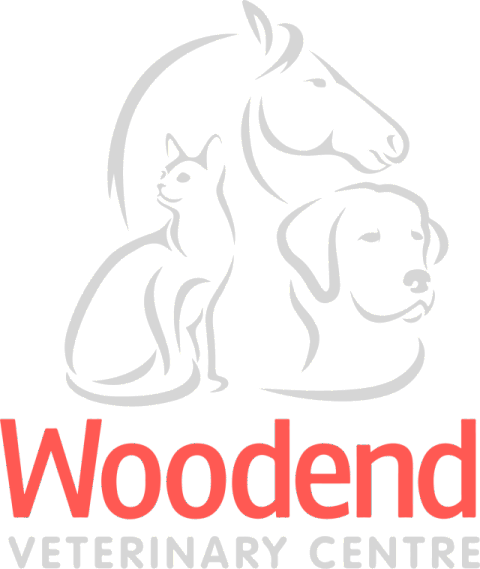 Woodend Veterinary Centre | 25 Brooke St, Woodend VIC 3442, Australia | Phone: (03) 5427 9200