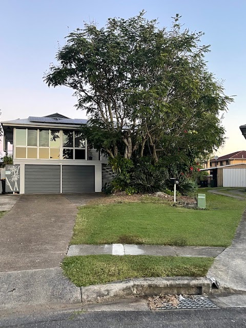 Ecovolve Landscaping Brisbane | 29 Aronia St, Kenmore QLD 4069, Australia | Phone: 0432 921 002