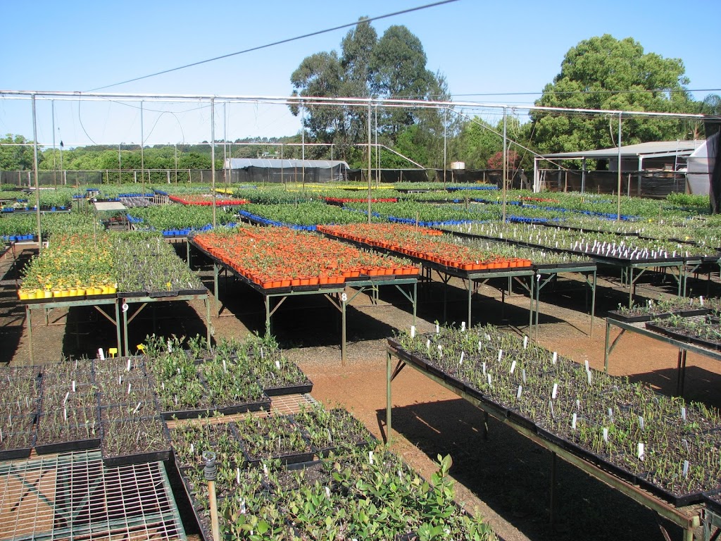 Mountain Blue Farms | 1372A Bruxner Hwy, Lindendale NSW 2480, Australia | Phone: (02) 6624 8258