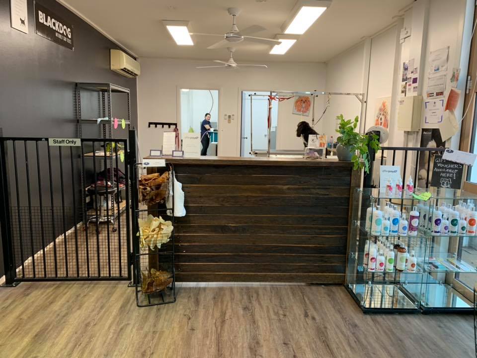 Oasis Pet Styling | 19/21 Ryan Ave, Singleton NSW 2330, Australia | Phone: 0427 580 507