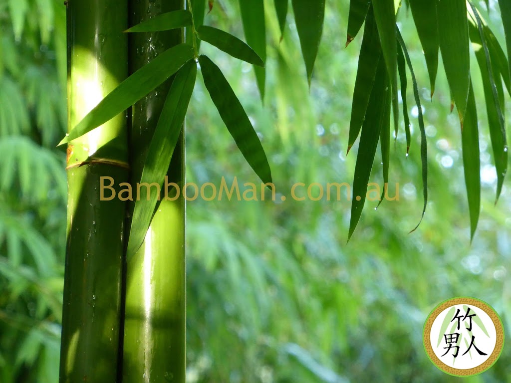 Bamboo Whitsunday | 10 Moon Cres, Sugarloaf QLD 4800, Australia | Phone: (07) 4946 1790