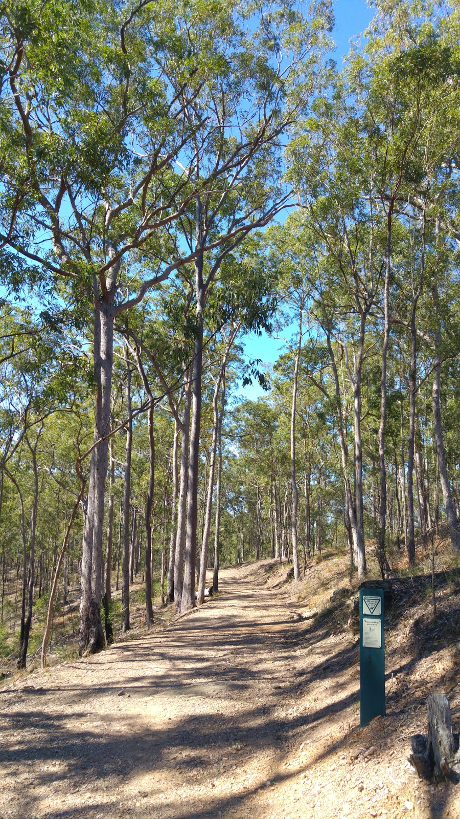 Clear Mountain Conservation Park | park | Cashmere QLD 4500, Australia