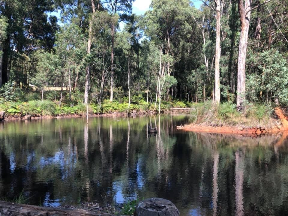 Cedarvale Health & Lifestyle Retreat | 291 Maroondah Hwy, Narbethong VIC 3778, Australia | Phone: 0423 749 175