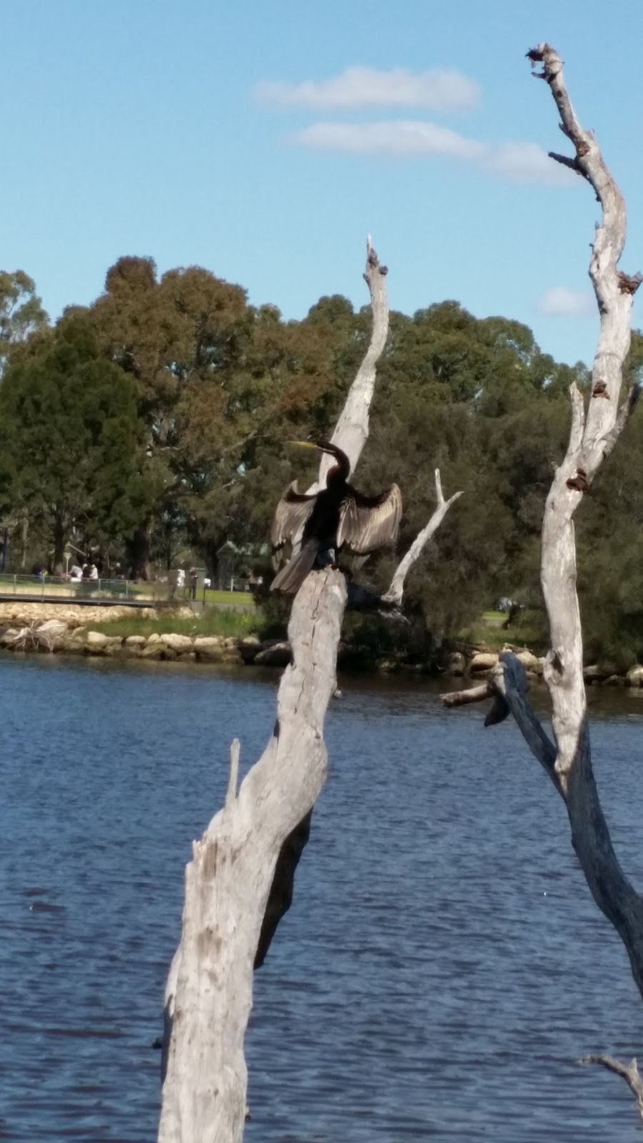 Sandy Beach Reserve | park | Bassendean WA 6054, Australia