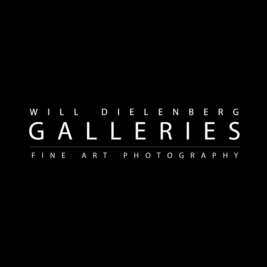 Will Dielenberg Galleries | 14/148-174 Mountjoy Parade, Lorne VIC 3232, Australia | Phone: (03) 5289 5000