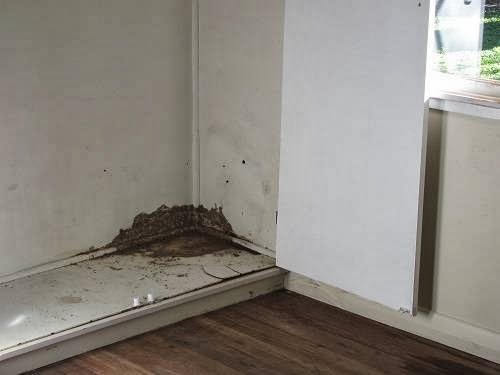 Nature Fresh Termite Management | 3/20 Henry St, Birkdale QLD 4159, Australia | Phone: 1800 075 300