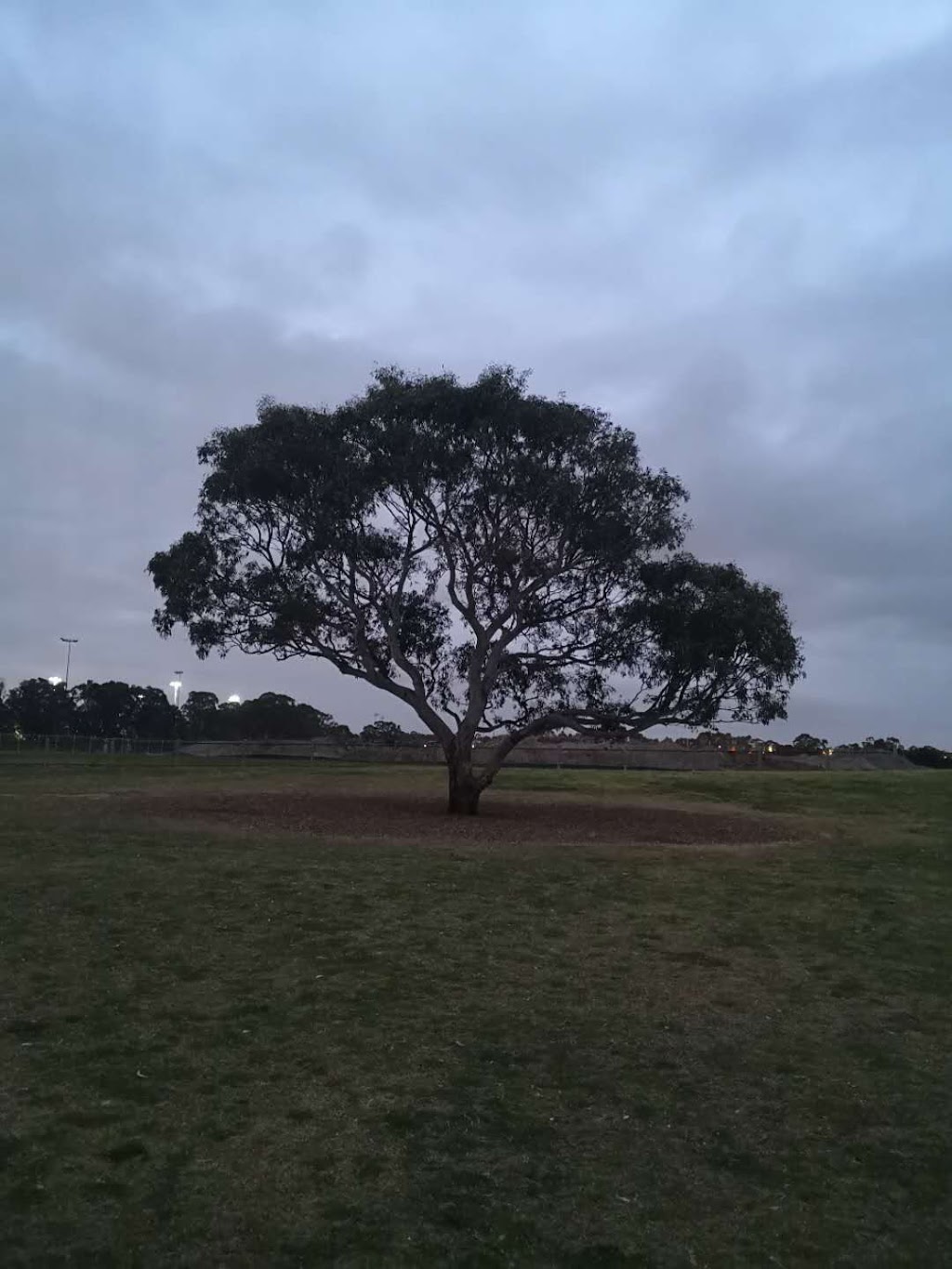 Dog Park | park | Villiers Rd, Keysborough VIC 3173, Australia