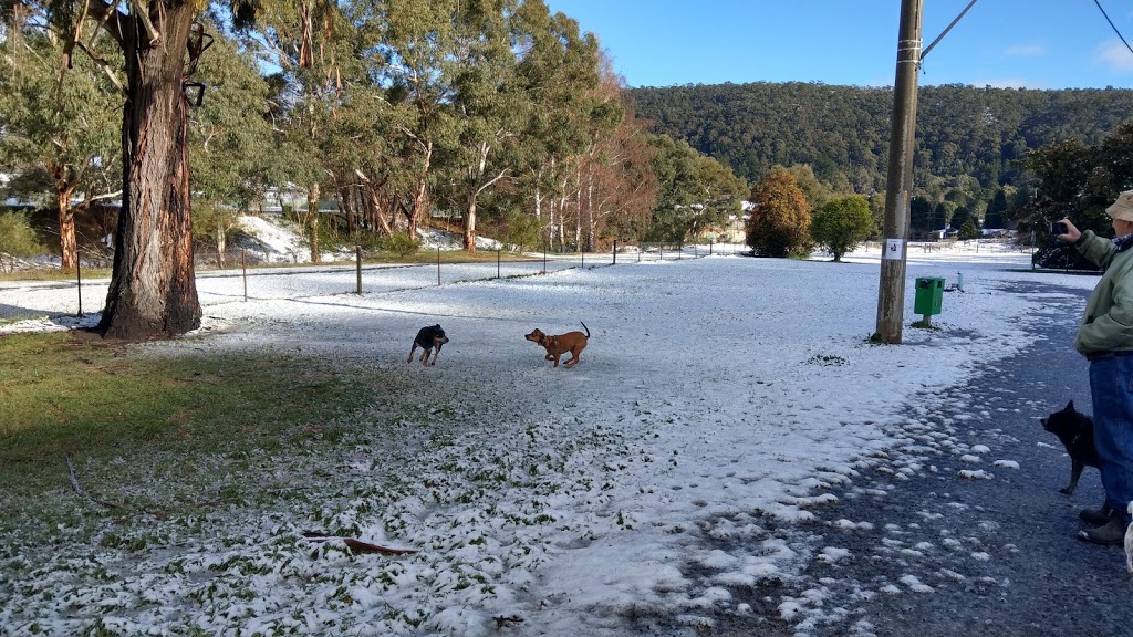 Lithgow Dog Park and Recreation Area | park | Montague St, Lithgow NSW 2790, Australia | 0263549999 OR +61 2 6354 9999