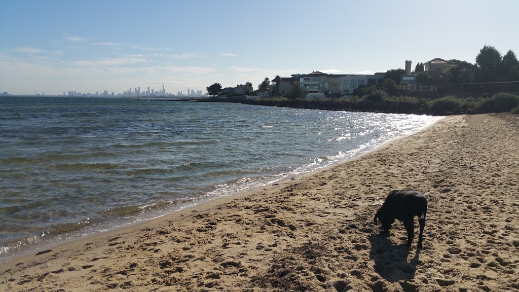 Dog Friendly Beach - Brighton | Sandown St, Brighton VIC 3186, Australia | Phone: (03) 9599 4444