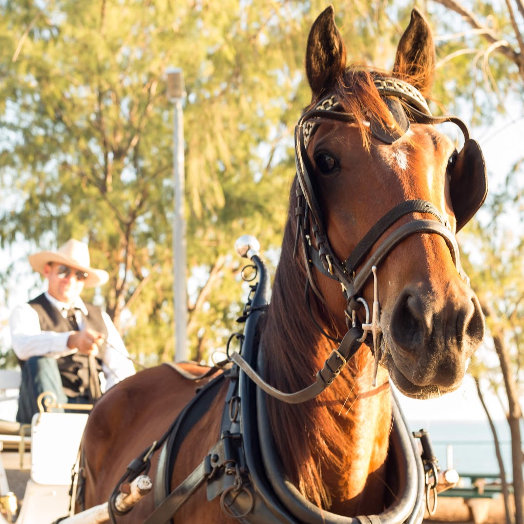 Darwin Horse and Carriage | Alec Fong Lim Dr, Fannie Bay NT 0820, Australia | Phone: 0427 651 440