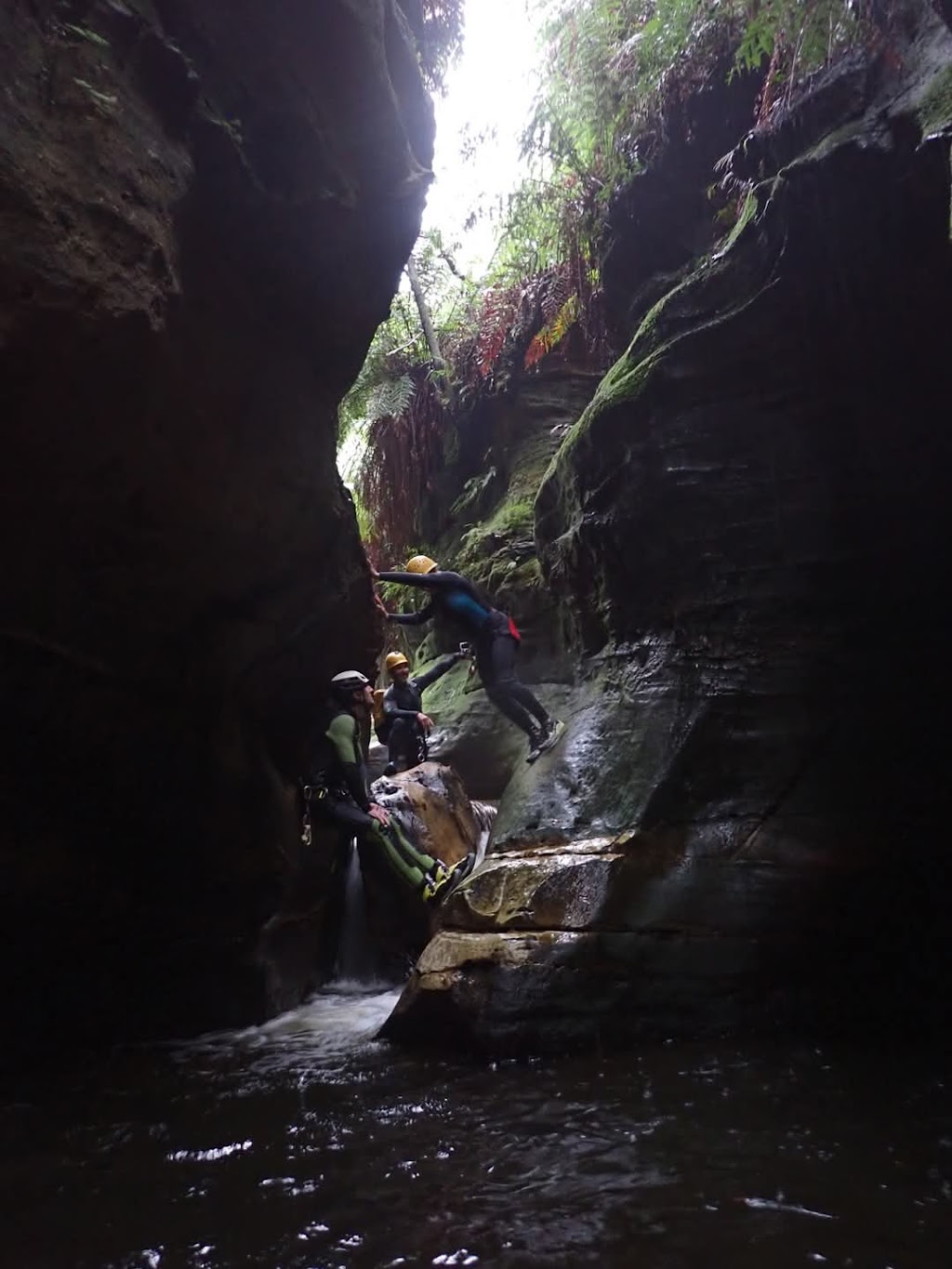 High and Wild | 207 Katoomba St, Katoomba NSW 2780, Australia | Phone: (02) 4782 6224