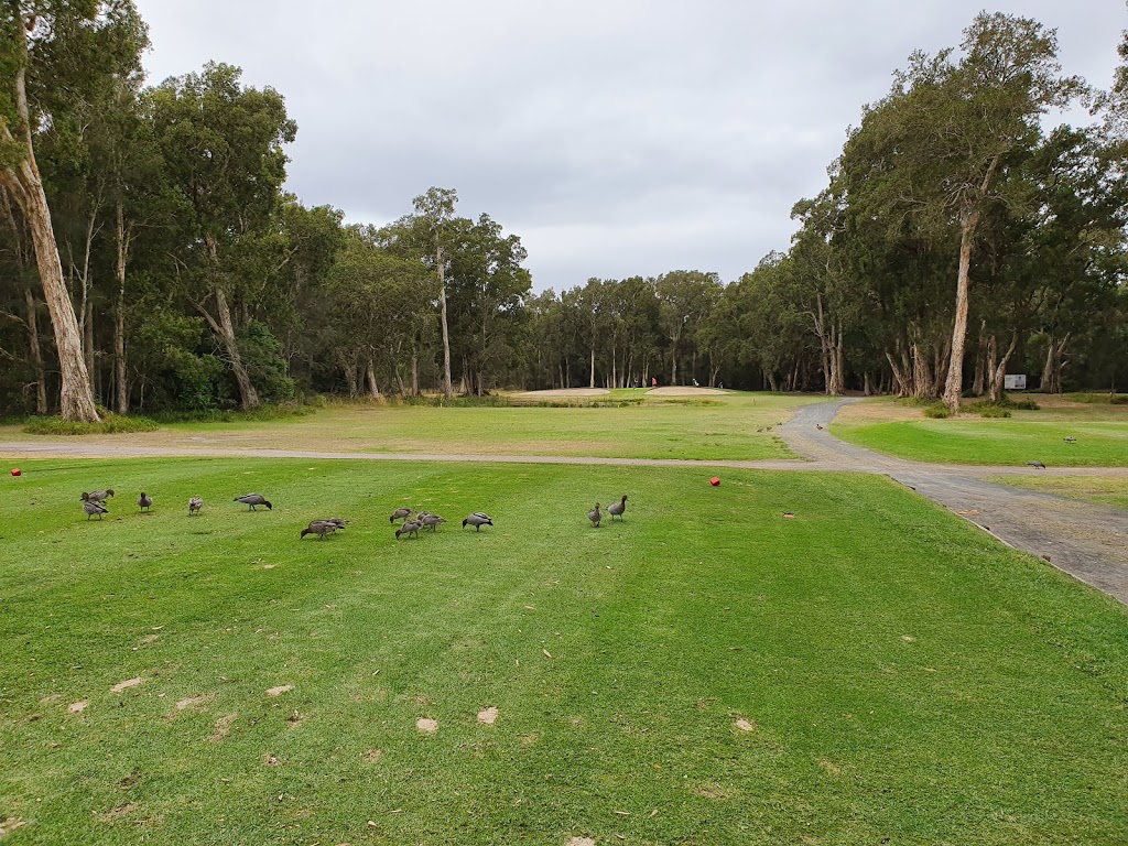 Toukley Golf Club | 54 Ninth Ave, Toukley NSW 2263, Australia | Phone: (02) 4396 5811