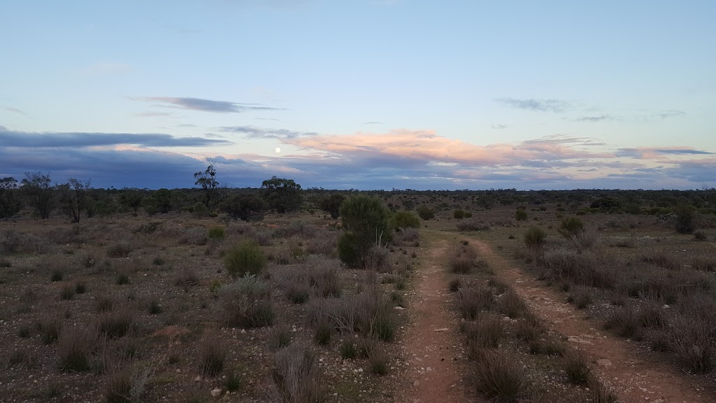 Brookfield Conservation Park | Blanchetown SA 5357, Australia