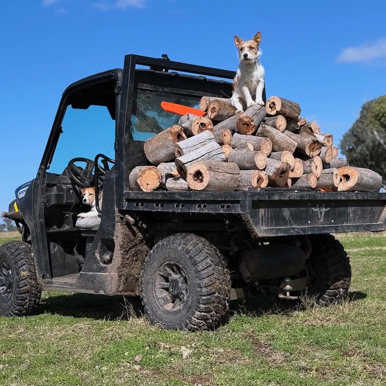 Australian Performance Boxes - Hunter Valley, NSW | 10 Cockatoo St, McDougalls Hill NSW 2330, Australia | Phone: 0427 873 817