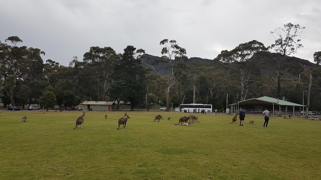 Grampians Grape Escape (Wine, Food & Music Festival) | Corner Grampians and Mount Victory Roads, Halls Gap VIC 3381, Australia | Phone: 1800 065 599