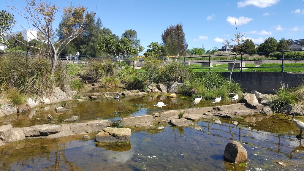 Park Central Duck Pond | park | 40 Parkside Cres, Campbelltown NSW 2560, Australia