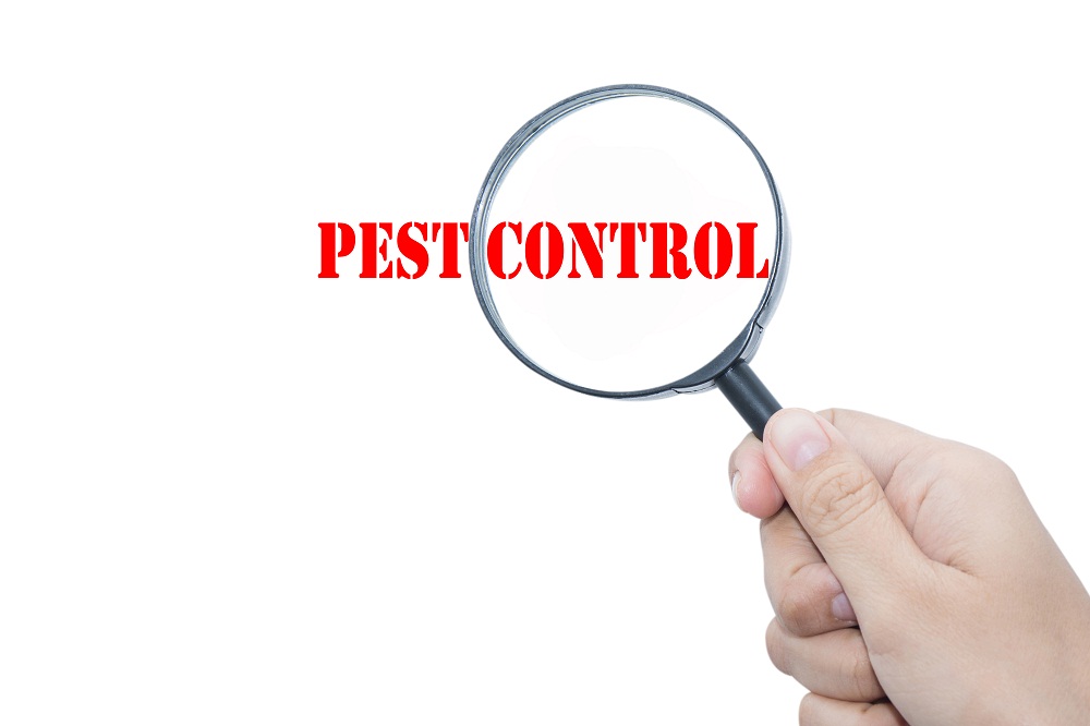 Pest Inspection Perth | Termite Inspection Perth (208A Kooyong Rd) Opening Hours