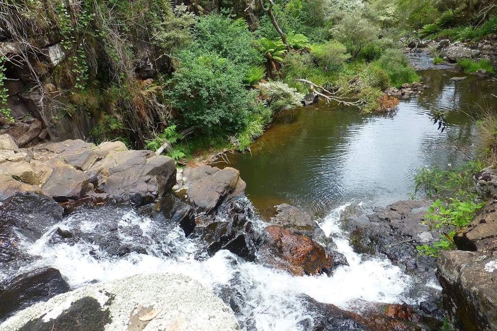 Cunnawarra National Park | park | Lower Creek NSW 2440, Australia | 1300072757 OR +61 1300 072 757