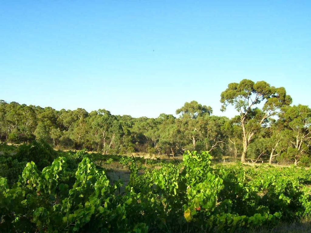 Barossa Vineyard - Mill About Vineyard | park | Open by appointment, 607 Lyndoch Valley Rd, Williamstown SA 5351, Australia | 0437391881 OR +61 437 391 881