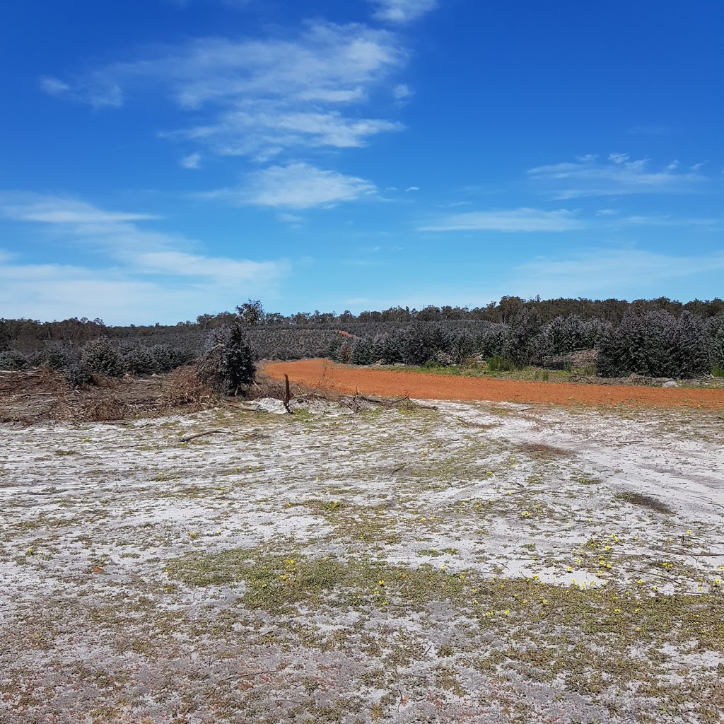 Greater Kingston National Park | Kingston WA 6256, Australia