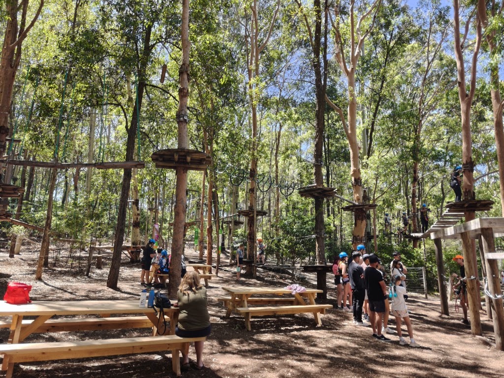 WildNets Adventure Newcastle - Previously TreeTops | Treetops Rd, Minmi NSW 2287, Australia | Phone: 0435 422 447