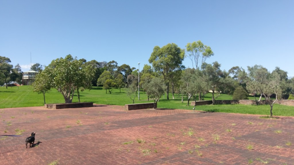 Peace Park | park | Trevenar St, Ashbury NSW 2193, Australia | 0297161800 OR +61 2 9716 1800