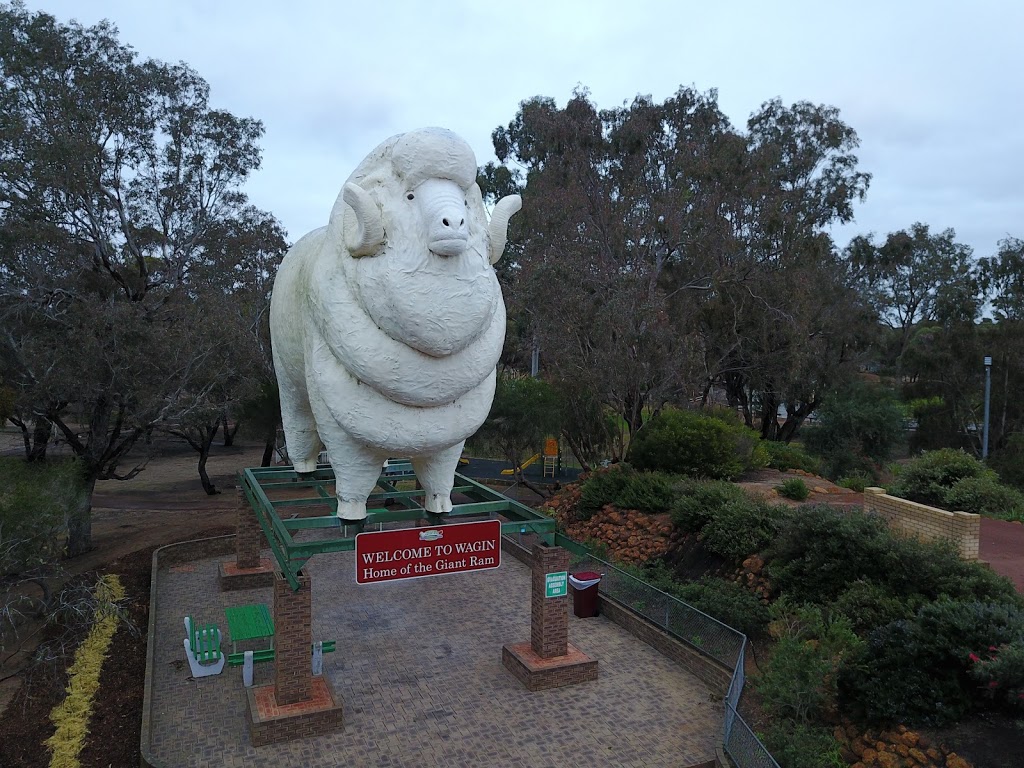 Giant Ram Park | park | Wagin WA 6315, Australia