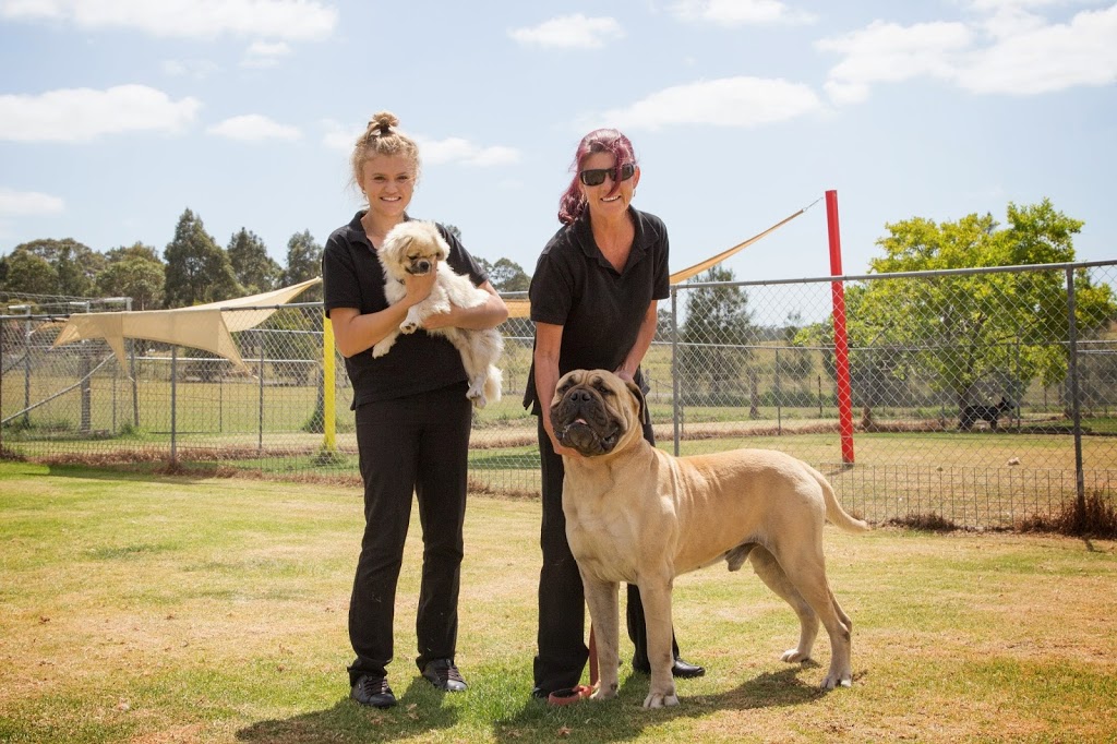 The Pet Ranch | veterinary care | 154 Woncor Avenue, South Nowra NSW 2540, Australia | 0412429625 OR +61 412 429 625