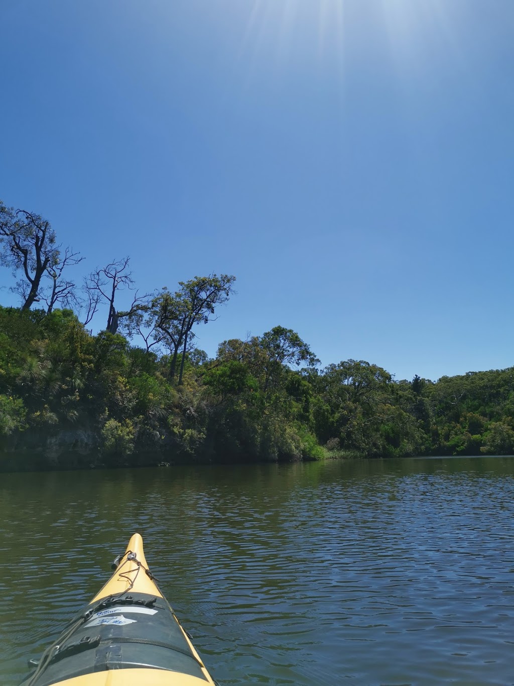 Paestan Canoe Hire | 75 Winnap-Nelson Rd, Winnap VIC 3304, Australia | Phone: 0429 381 875