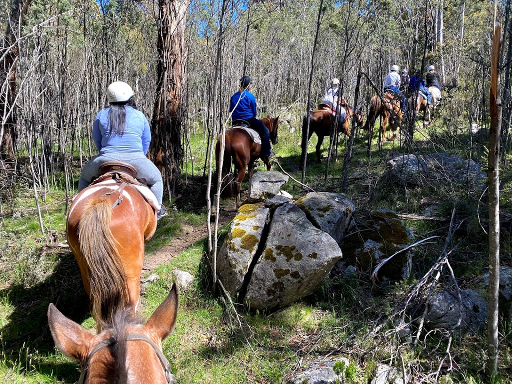Thredbo Valley Horse Riding | tourist attraction | 2627/1056 Alpine Way, Crackenback NSW 2627, Australia | 0264562142 OR +61 2 6456 2142