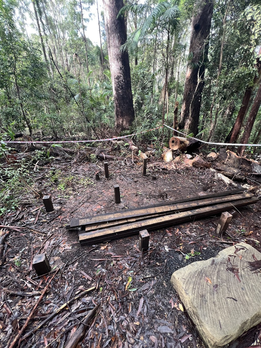 Gidjuum Gulganyi Walk | Unicorn Falls Walking Trak, Upper Main Arm NSW 2482, Australia | Phone: 1300 072 757