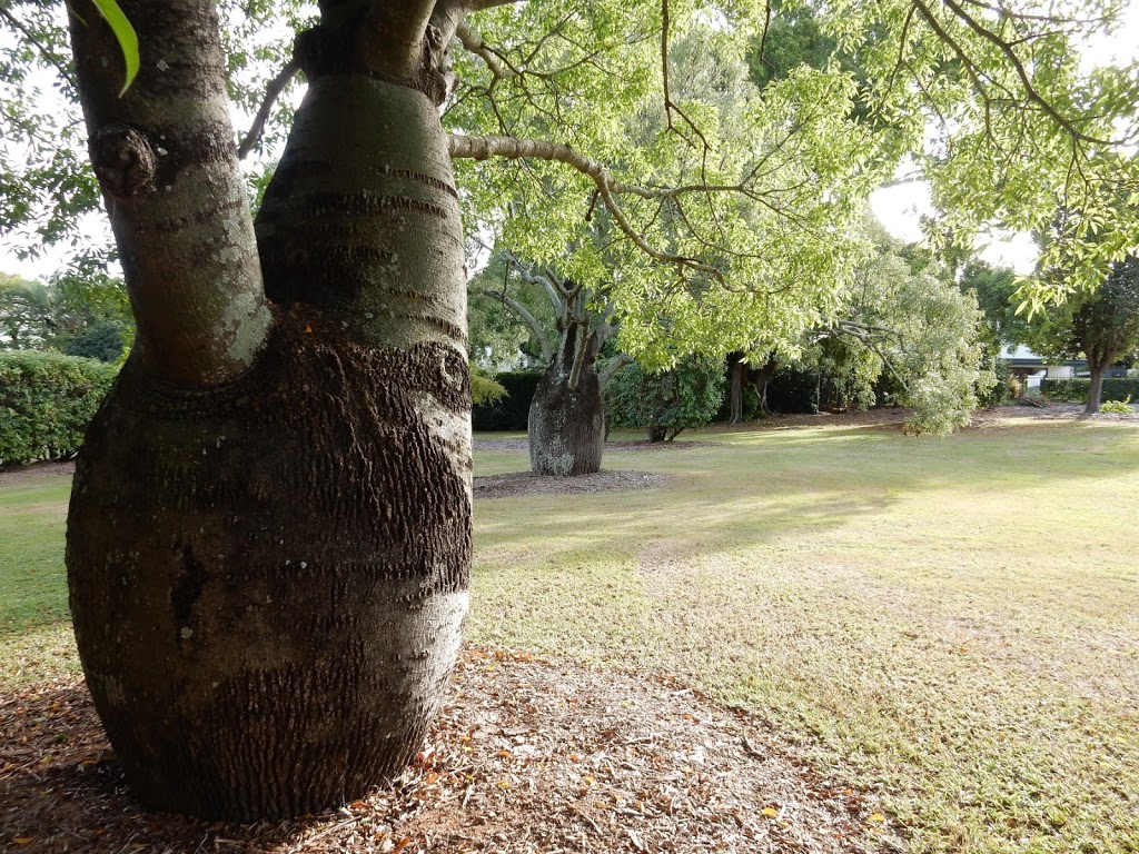 Thomas Park Bougainvillea Gardens | park | Indooroopilly QLD 4068, Australia