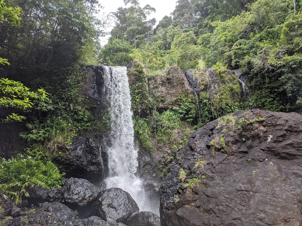 Tchupala Falls | Palmerston Hwy, Wooroonooran QLD 4860, Australia | Phone: 13 74 68