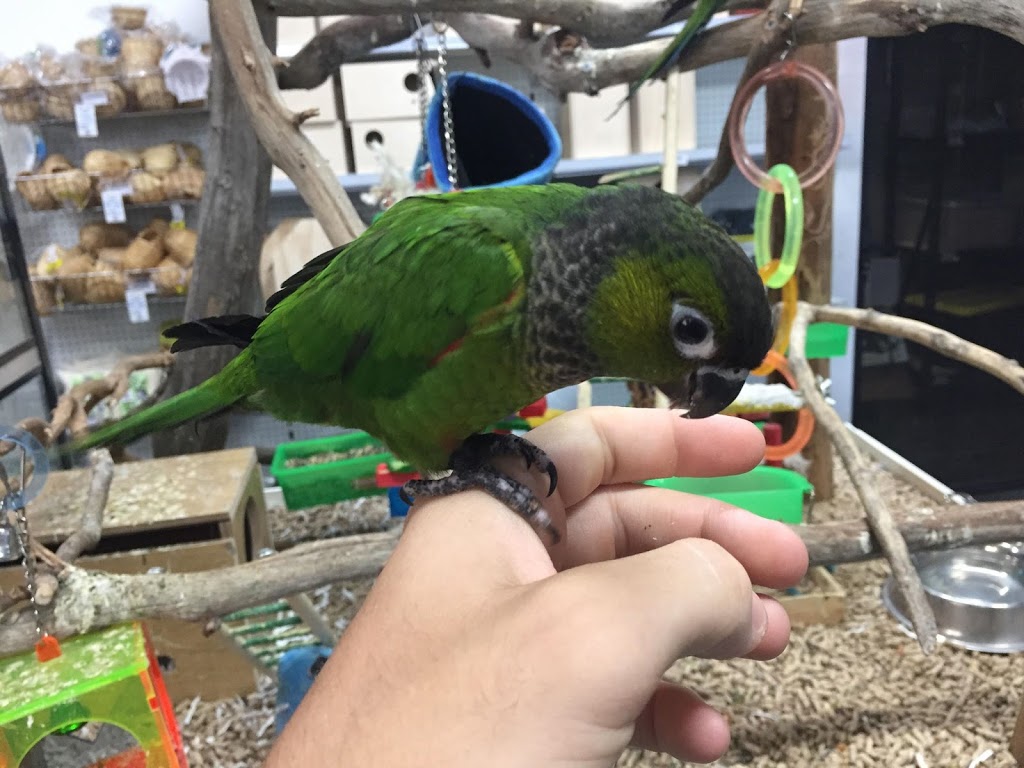 Victorian Bird Co | pet store | 2/2 Shaft Ct, Hoppers Crossing VIC 3029, Australia | 0383608887 OR +61 3 8360 8887