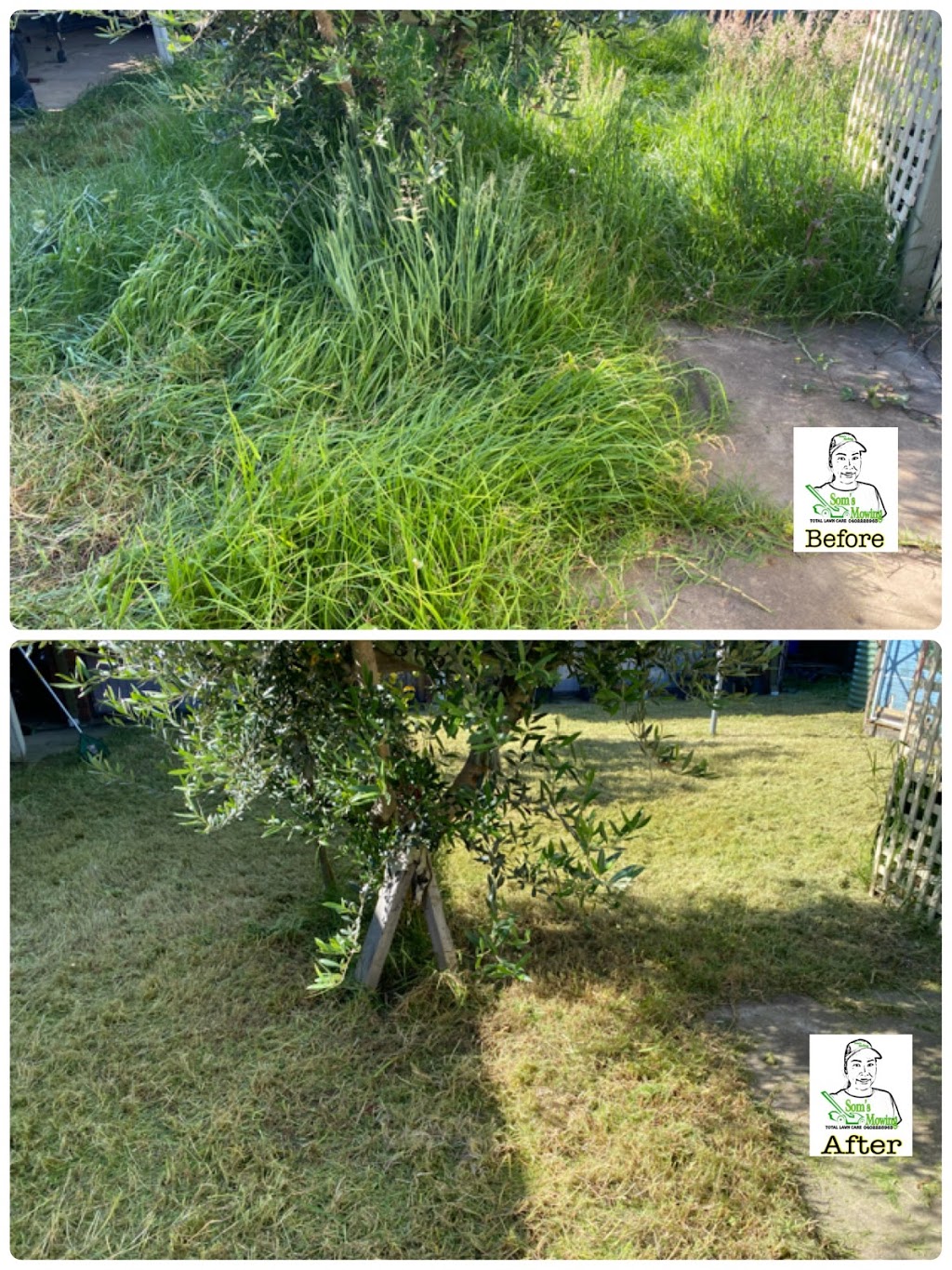 Soms Mowing | 5 Clyde Ave, St Leonards VIC 3223, Australia | Phone: 0402 228 963