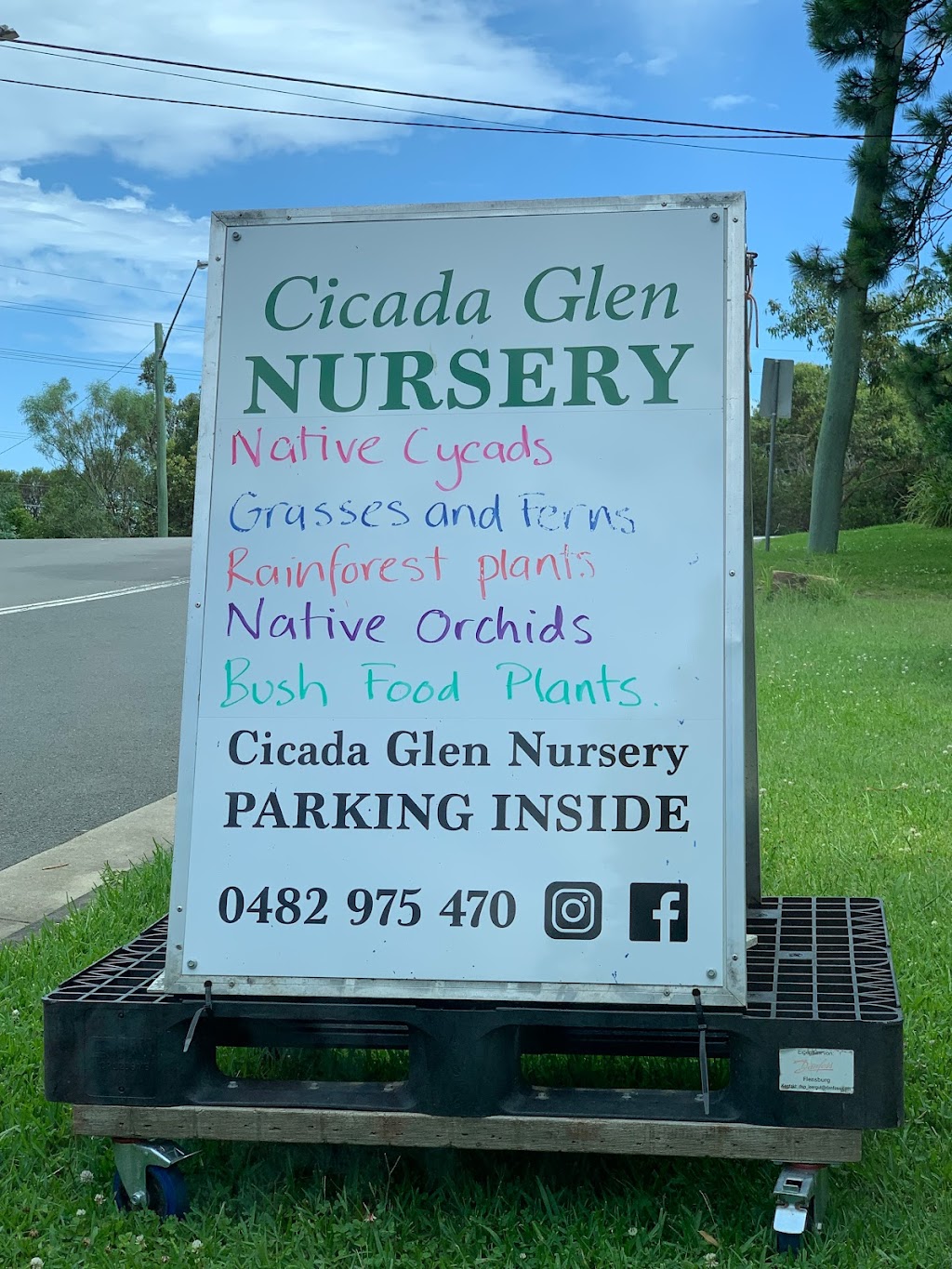 Cicada Glen Nursery | 1 Chiltern Rd, Ingleside NSW 2101, Australia | Phone: 0482 975 470
