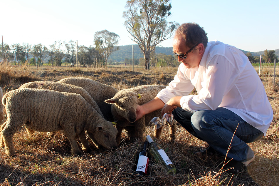 SHORT SHEEP Micro-Winery | 47 Buckaroo Ln, Buckaroo NSW 2850, Australia | Phone: 0420 299 999