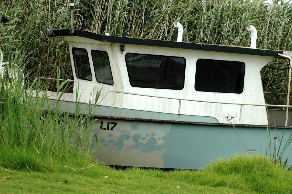 Narrung Ferry Campground (take ferry after Poltalloch Road) | campground | Alexandrina Dr, Narrung SA 5259, Australia