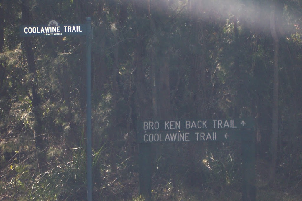 Pokolbin State Forest | Cedar Creek NSW 2325, Australia