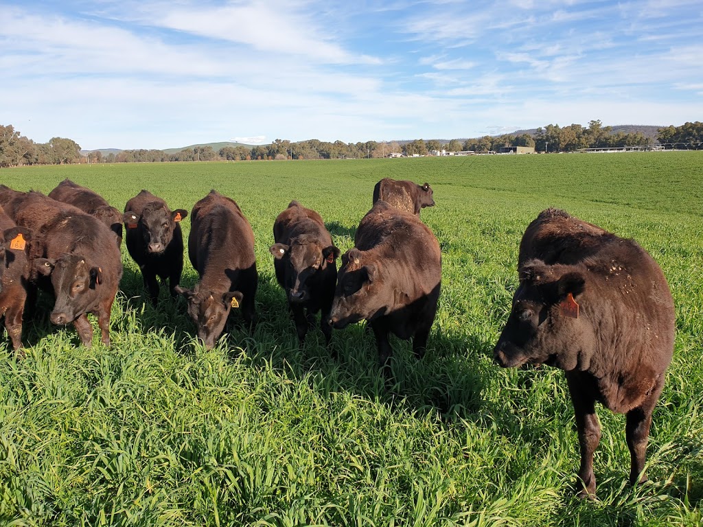 Beechworth Wagyu (1456 Plemings Rd) Opening Hours